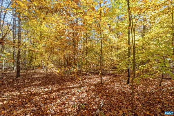 $99,900 | 0 Dell Perkins Road, Louisa, VA 23093