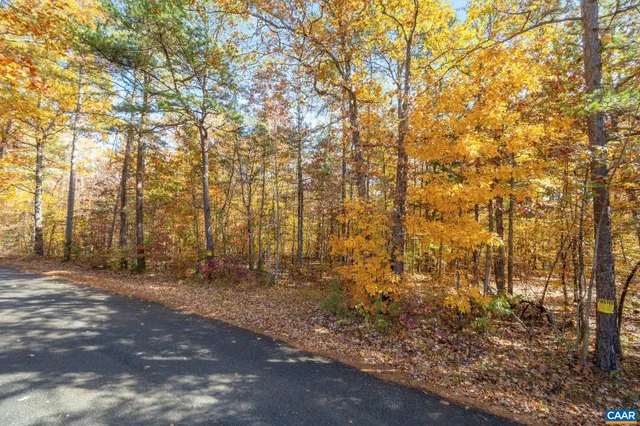 a view of backyard with green space