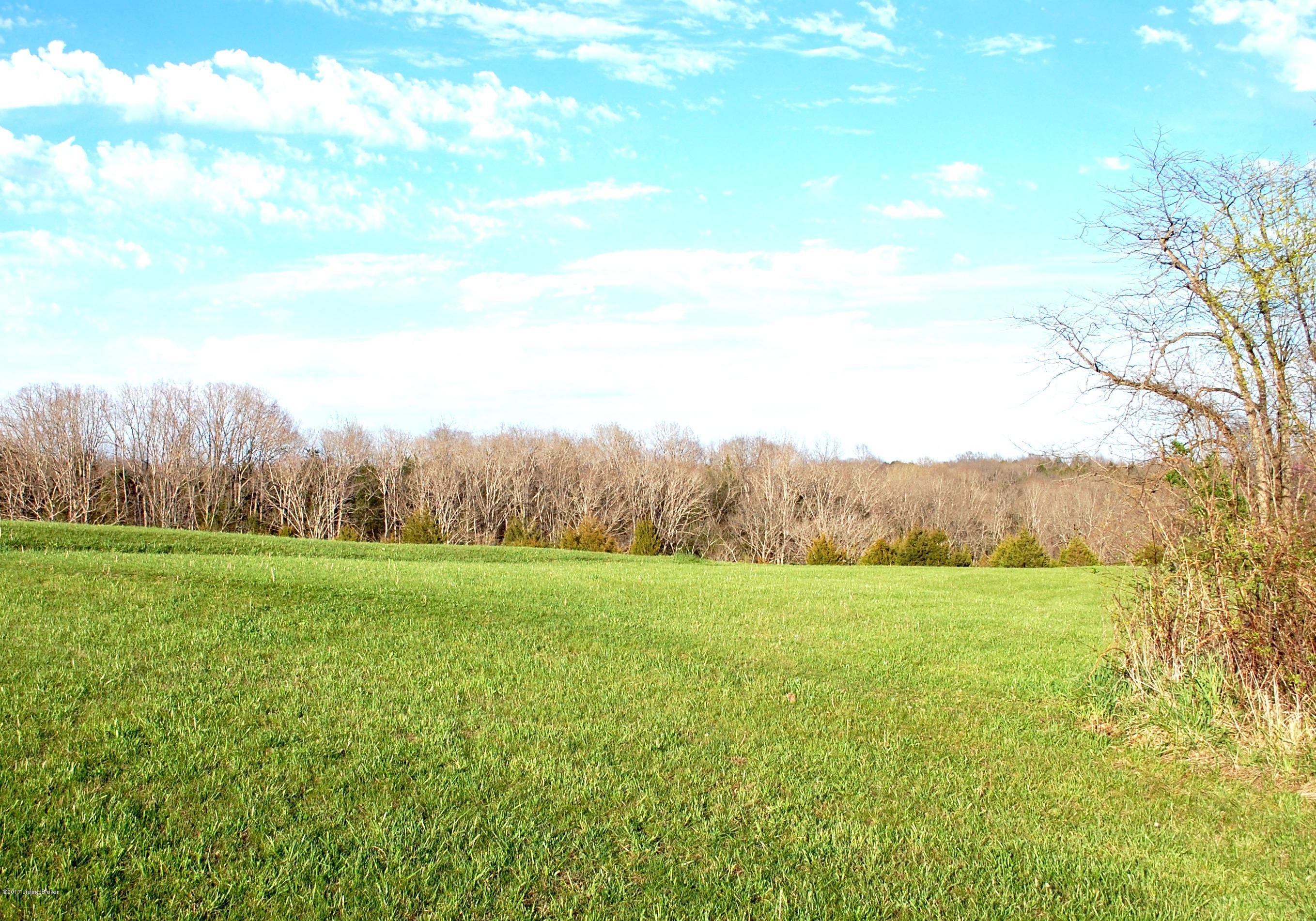 0 Briar Ridge Road Mount Eden, KY 40046 - Photo 6 of 11 4