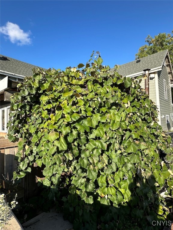 11288 Scott Hill Road Dansville, NY 14437 - Photo 36 of 50