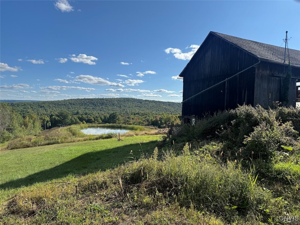 11288 Scott Hill Road Dansville, NY 14437 - Photo 42 of 50