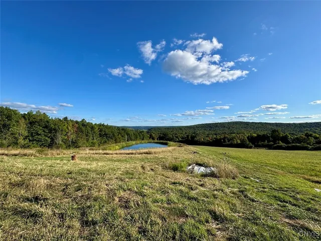 $359,900 | 11288 Scott Hill Road, Dansville, NY 14437