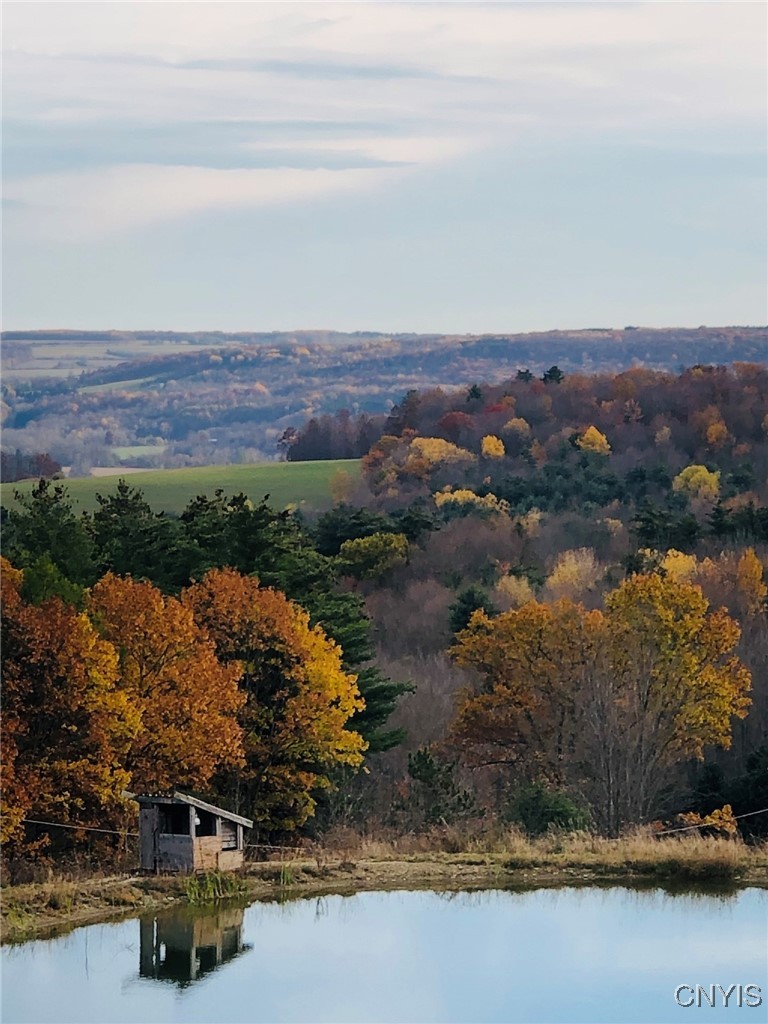 11288 Scott Hill Road Dansville, NY 14437 - Photo 47 of 50