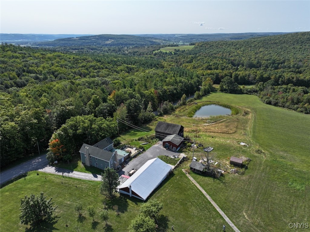 11288 Scott Hill Road Dansville, NY 14437 - Photo 48 of 50