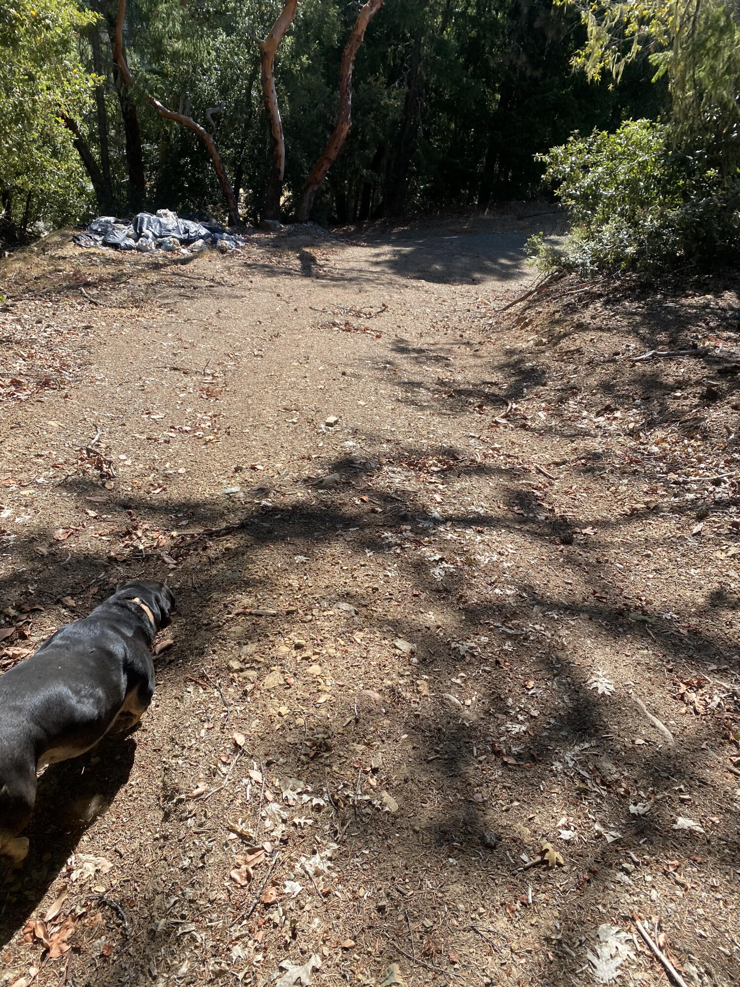 1255 Mcdonald Creek Road Burnt Ranch, CA 95527 - Photo 36 of 44