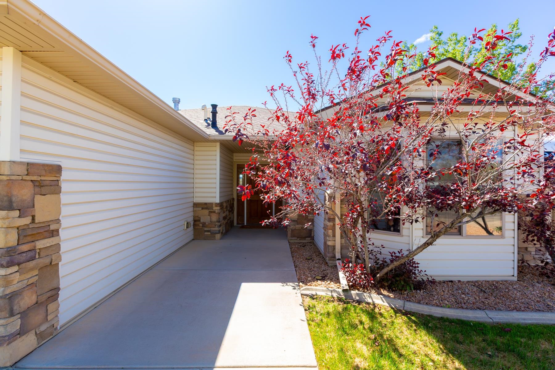 103 Red Rocks Street Fruita, CO 81521 - Photo 3 of 39 a view of a backyard with plants and large trees
