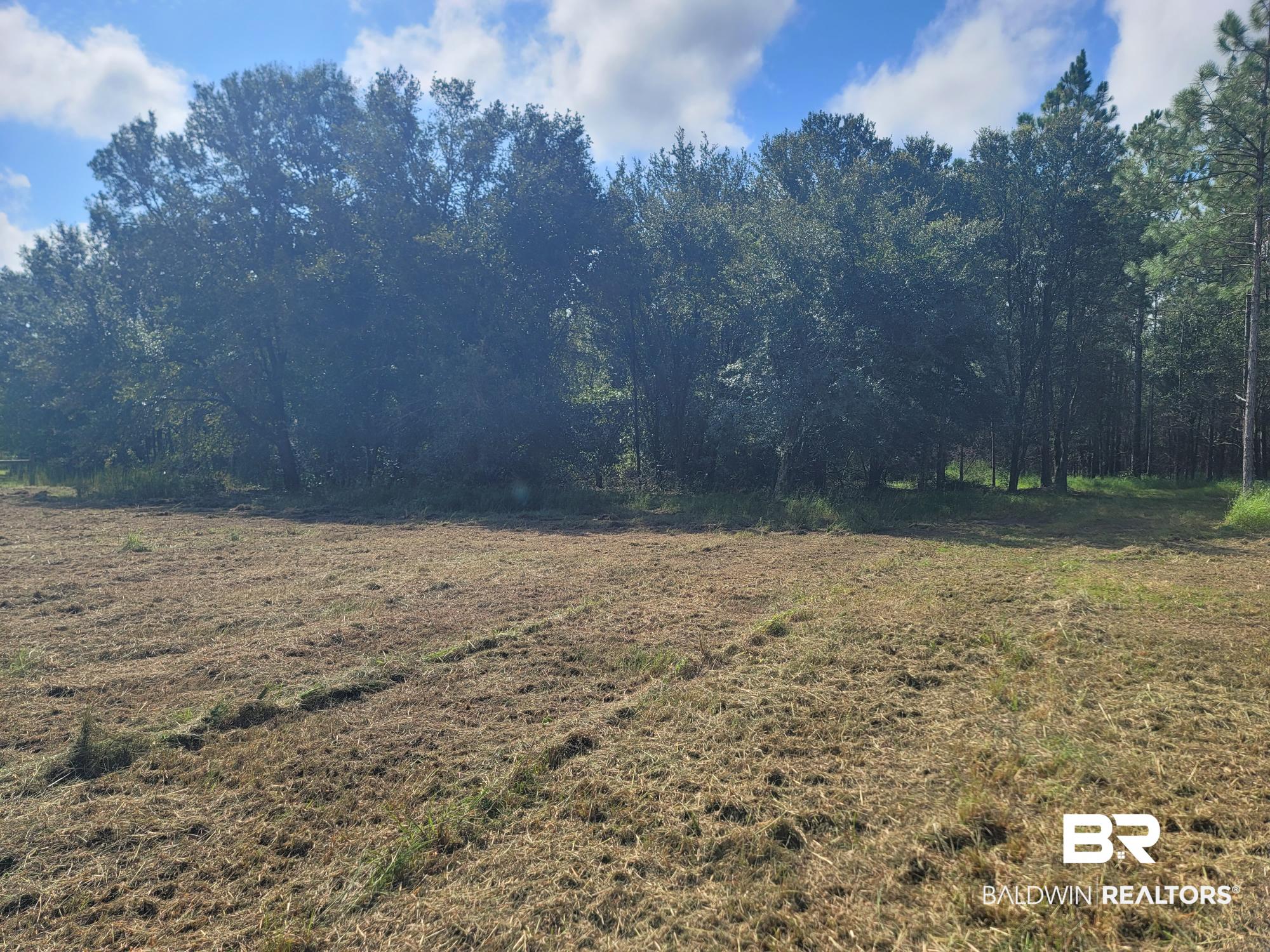 21373 Ima Brill Road Robertsdale, AL 36567 - Photo 15 of 25 Gallery Image 15