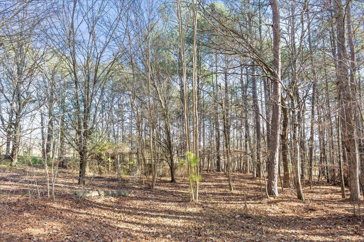 319 Cannon Road LaFayette, GA 30728 - Photo 10 of 17 20260106200747493422000000-o
