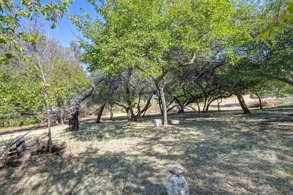 8080 Horseshoe Bar Road Loomis, CA 95650 - Photo 76 of 86 Gallery Image 76