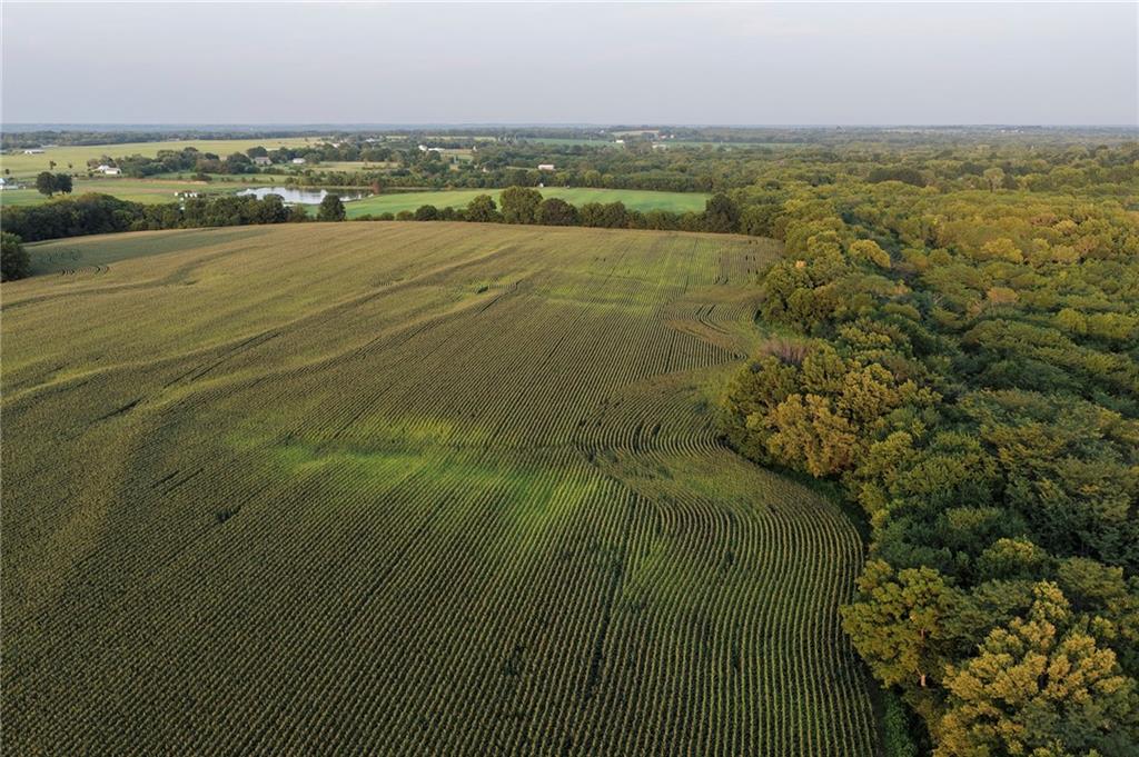 0 South Ore Road Pleasant Hill, MO 64080 - Photo 13 of 19 Gallery Image 13