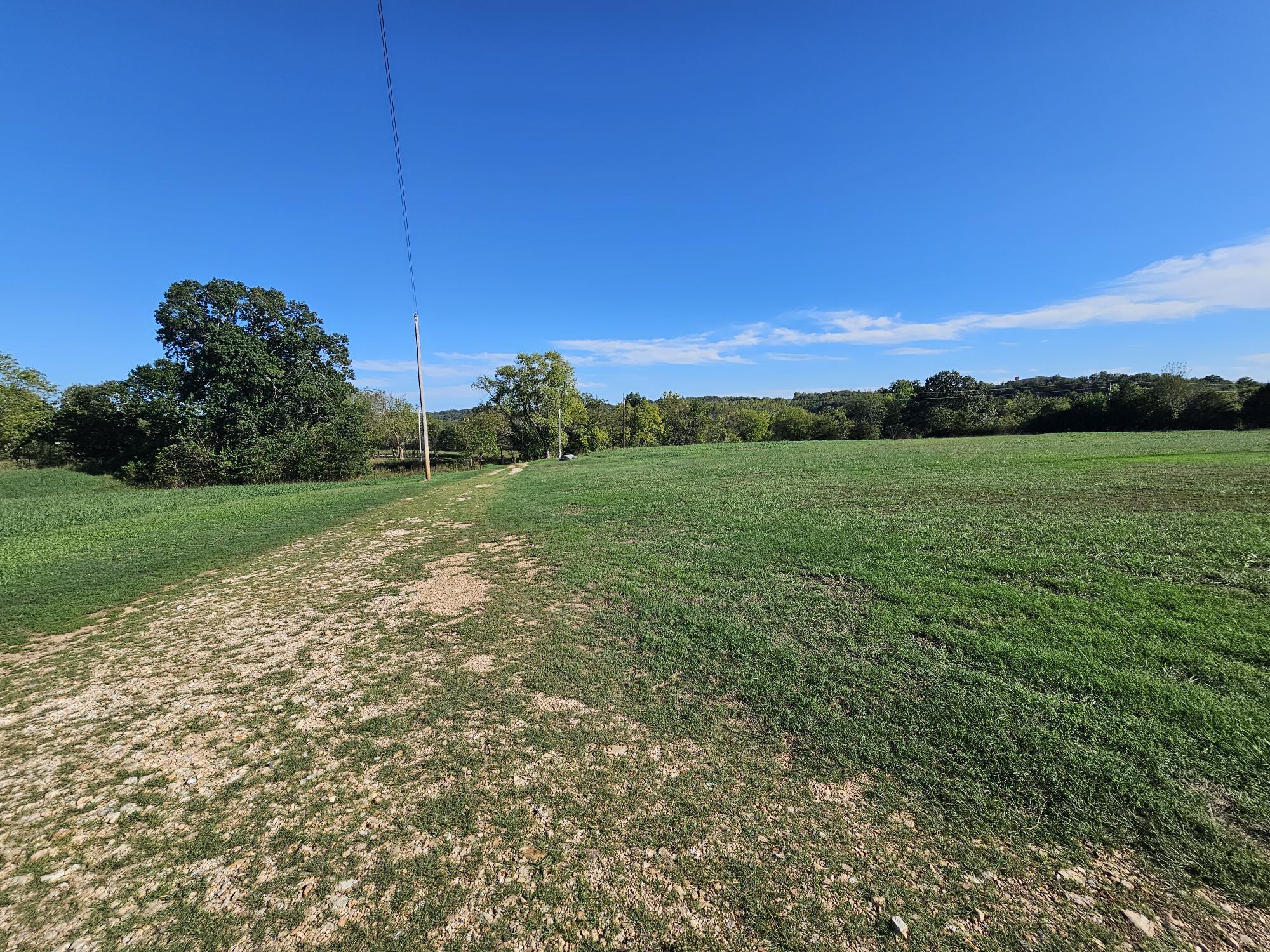 205 Franklin Road Anderson, MO 64831 - Photo 39 of 47 tomlinson pic-driveway