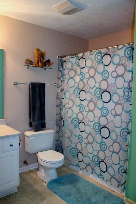 1391 Emmaus Church Road Moneta, VA 24121 - Photo 14 of 33 a white toilet sitting next to a shower curtain