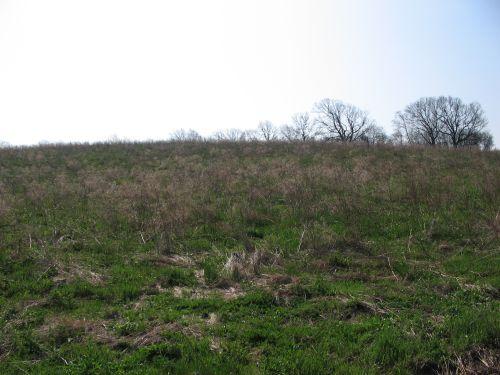 LOT 6
