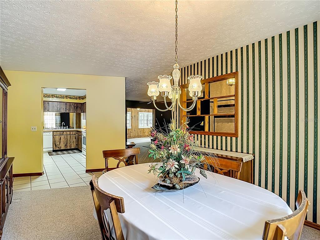 1004 Mook Street Brandon, FL 33510 - Photo 15 of 47