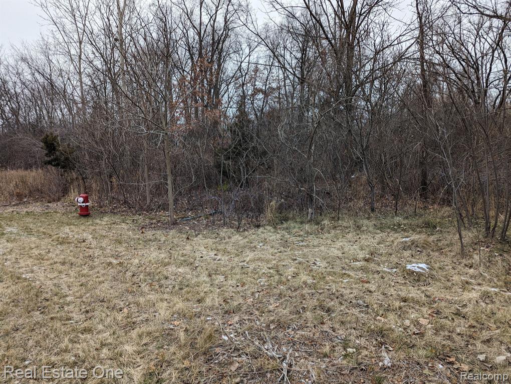 11261 21 Mile Road Utica, MI 48317 - Photo 3 of 3
