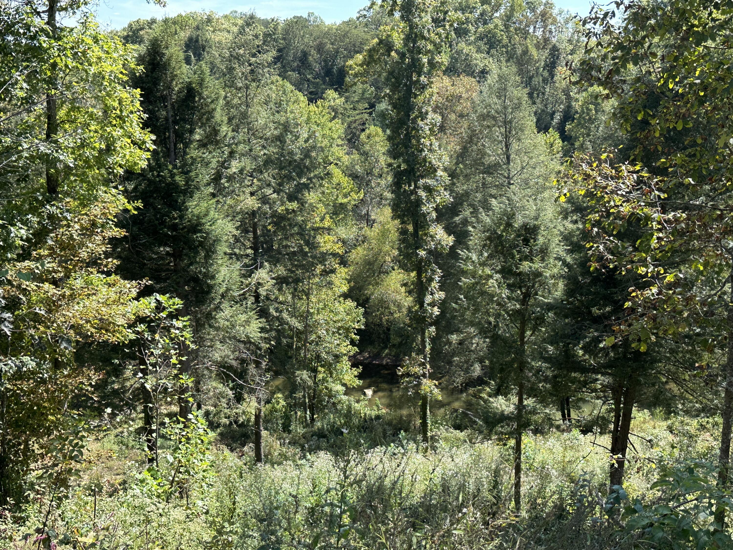 Lot 5 Baldwin Road McKee, KY 40447 - Photo 33 of 34 IMG_8783