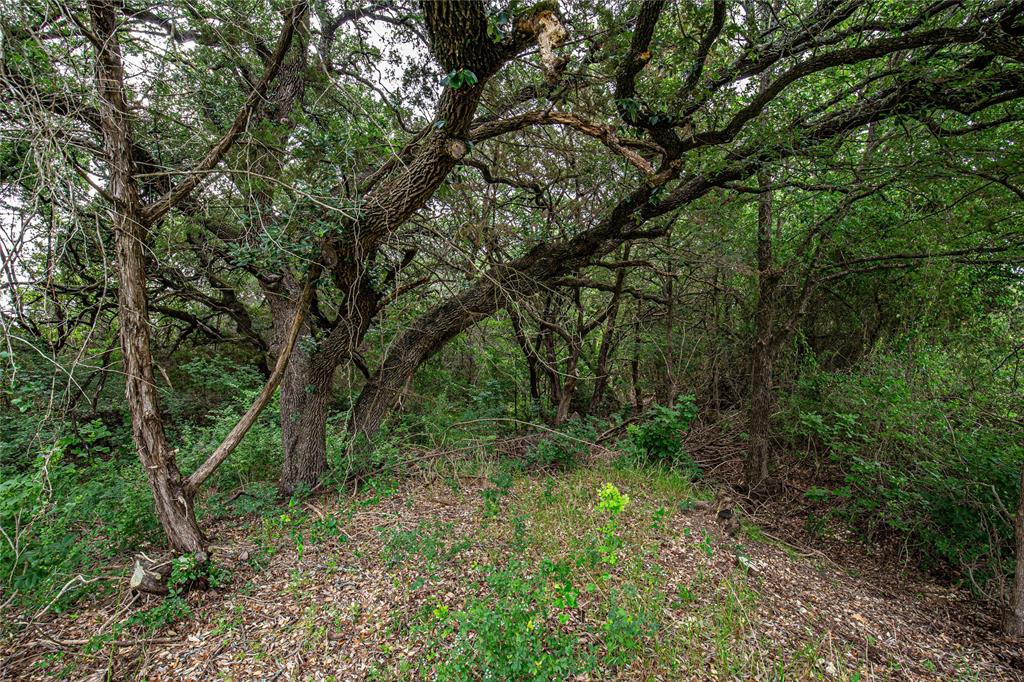 Tbd Gholson Road Waco, TX 76705 - Photo 4 of 17