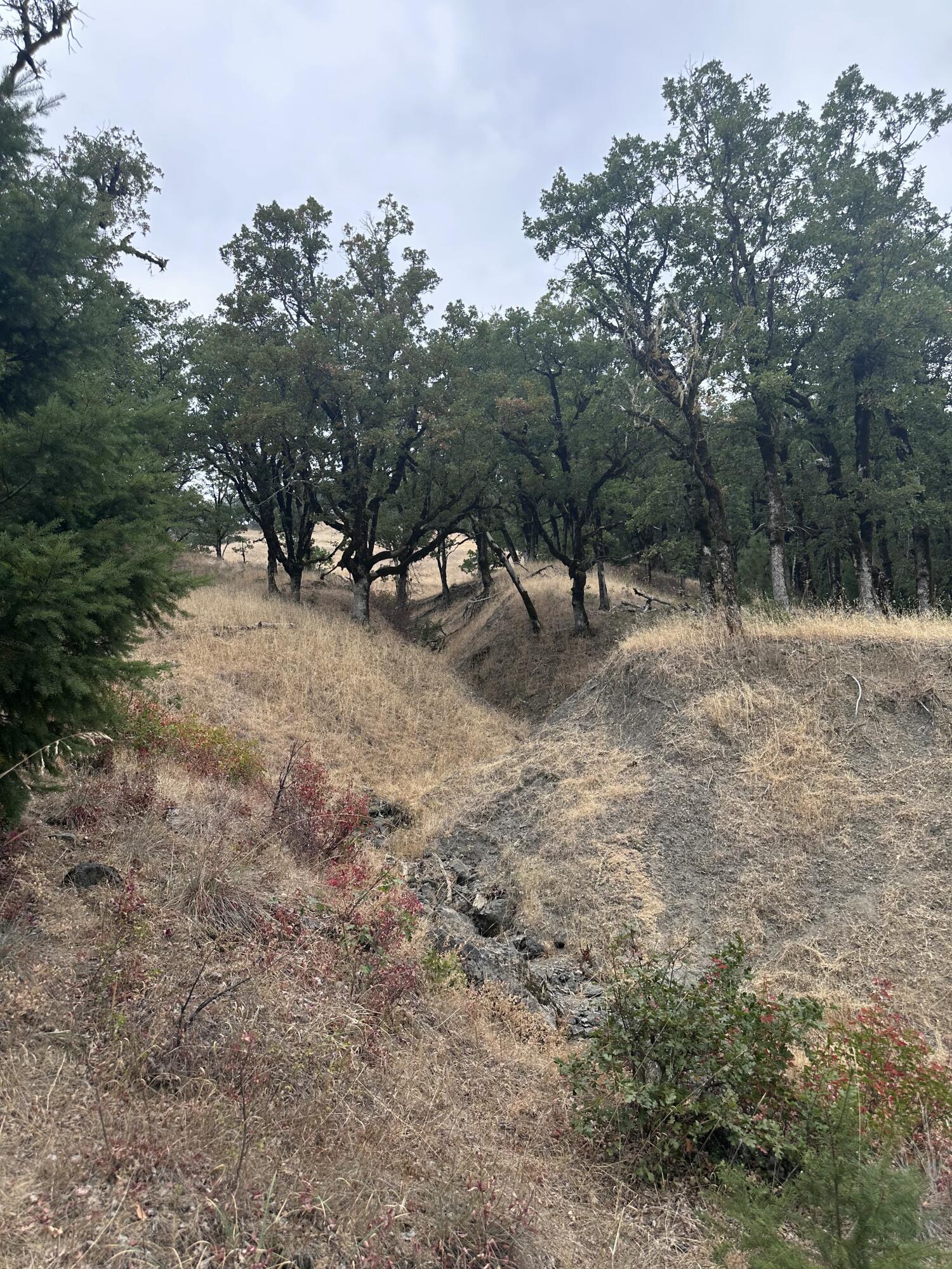 0 River Road Miranda, CA 95553 - Photo 28 of 31