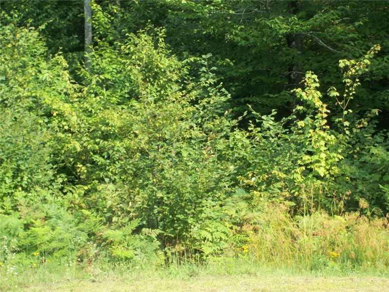 60 Taylor Lane Naples, ME 04055 - Photo 29 of 29 Land/Lot.