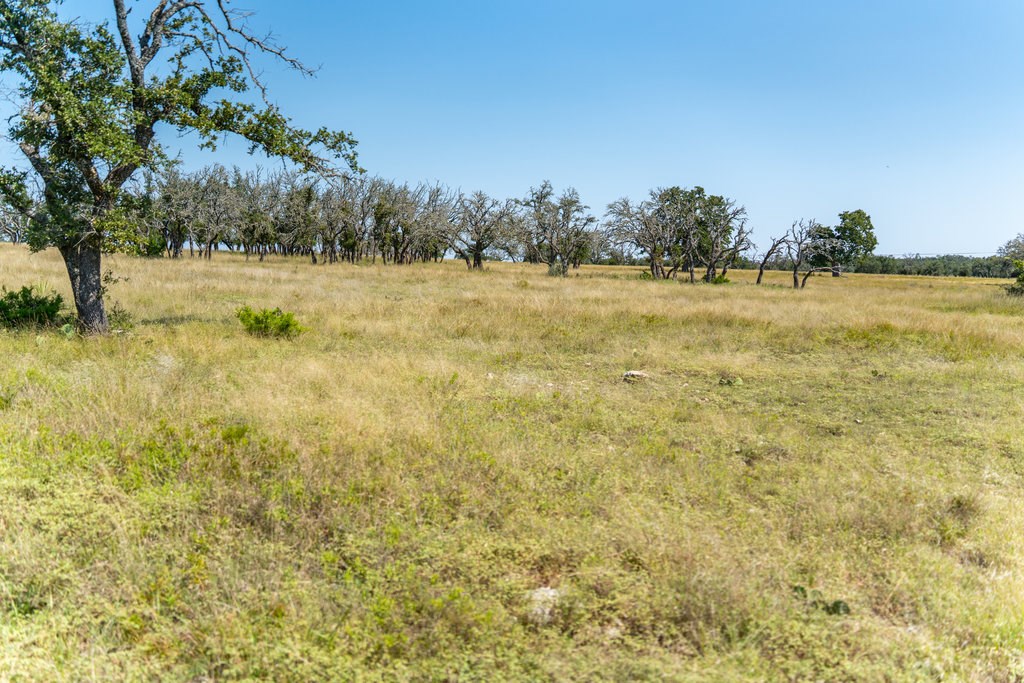 Lot 100 Packsaddle Drive Harper, TX 78631 - Photo 12 of 32 a view of yard with green space