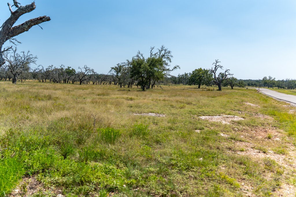 Lot 100 Packsaddle Drive Harper, TX 78631 - Photo 14 of 32 a view of a lake