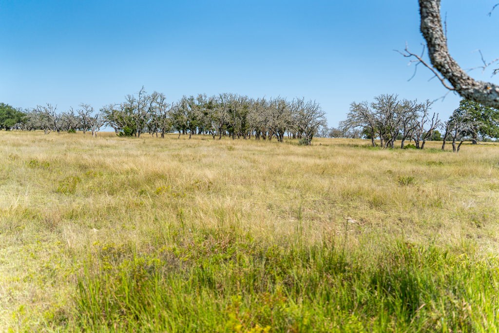 Lot 100 Packsaddle Drive Harper, TX 78631 - Photo 15 of 32 a view of lake view and mountain view