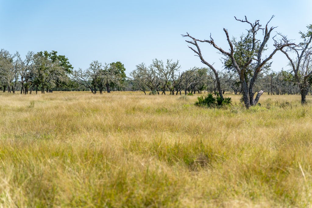 Lot 100 Packsaddle Drive Harper, TX 78631 - Photo 18 of 32 a view of yard with trees