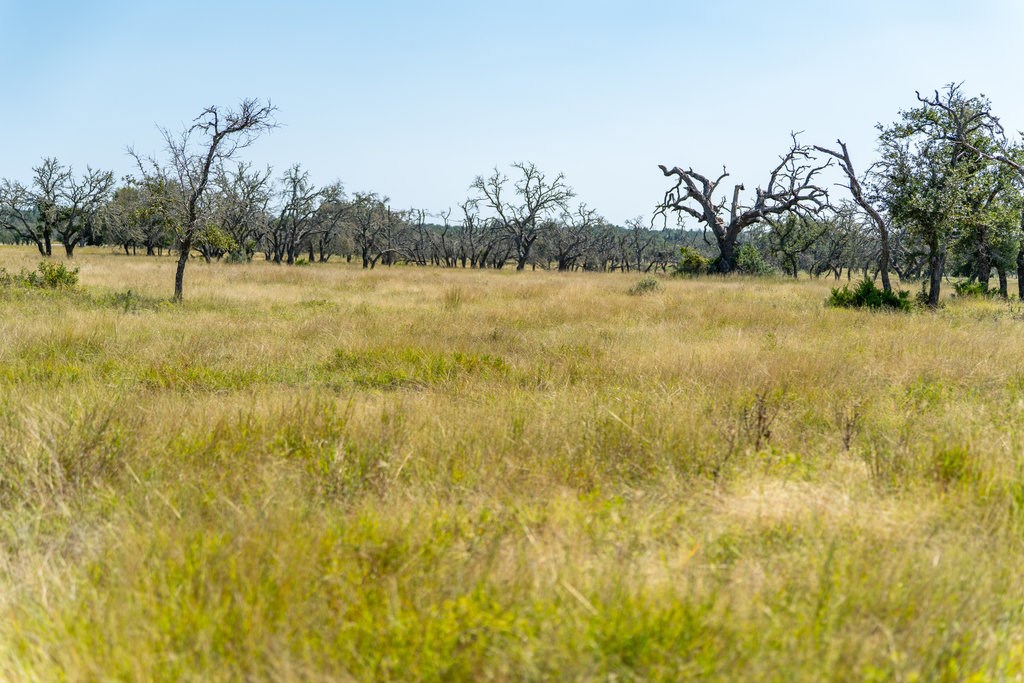 Lot 100 Packsaddle Drive Harper, TX 78631 - Photo 19 of 32