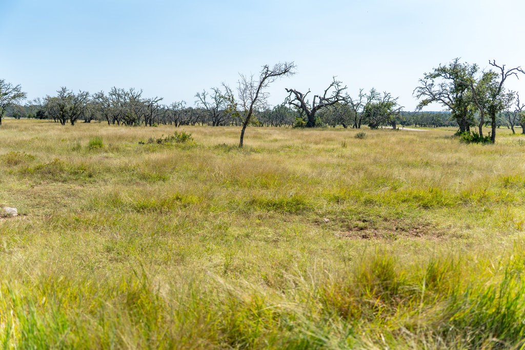 Lot 100 Packsaddle Drive Harper, TX 78631 - Photo 20 of 32 a view of a lake view