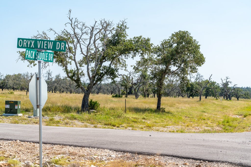 Lot 100 Packsaddle Drive Harper, TX 78631 - Photo 7 of 32 a street view with large trees