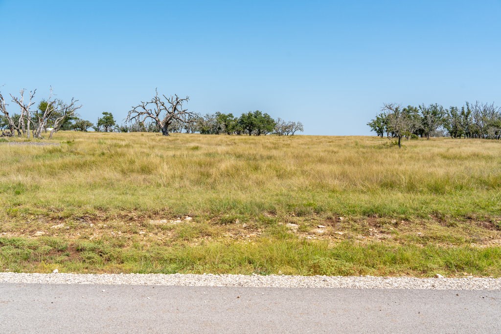 Lot 100 Packsaddle Drive Harper, TX 78631 - Photo 9 of 32 a view of an ocean view