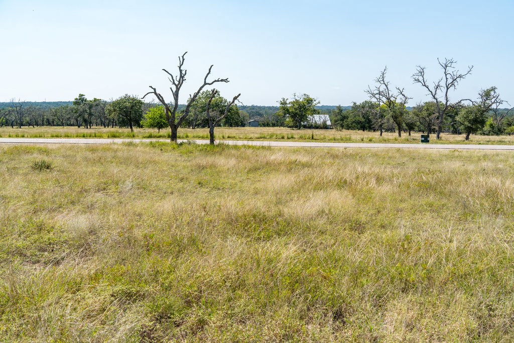 Lot 100 Packsaddle Drive Harper, TX 78631 - Photo 10 of 32 a view of a yard with a house