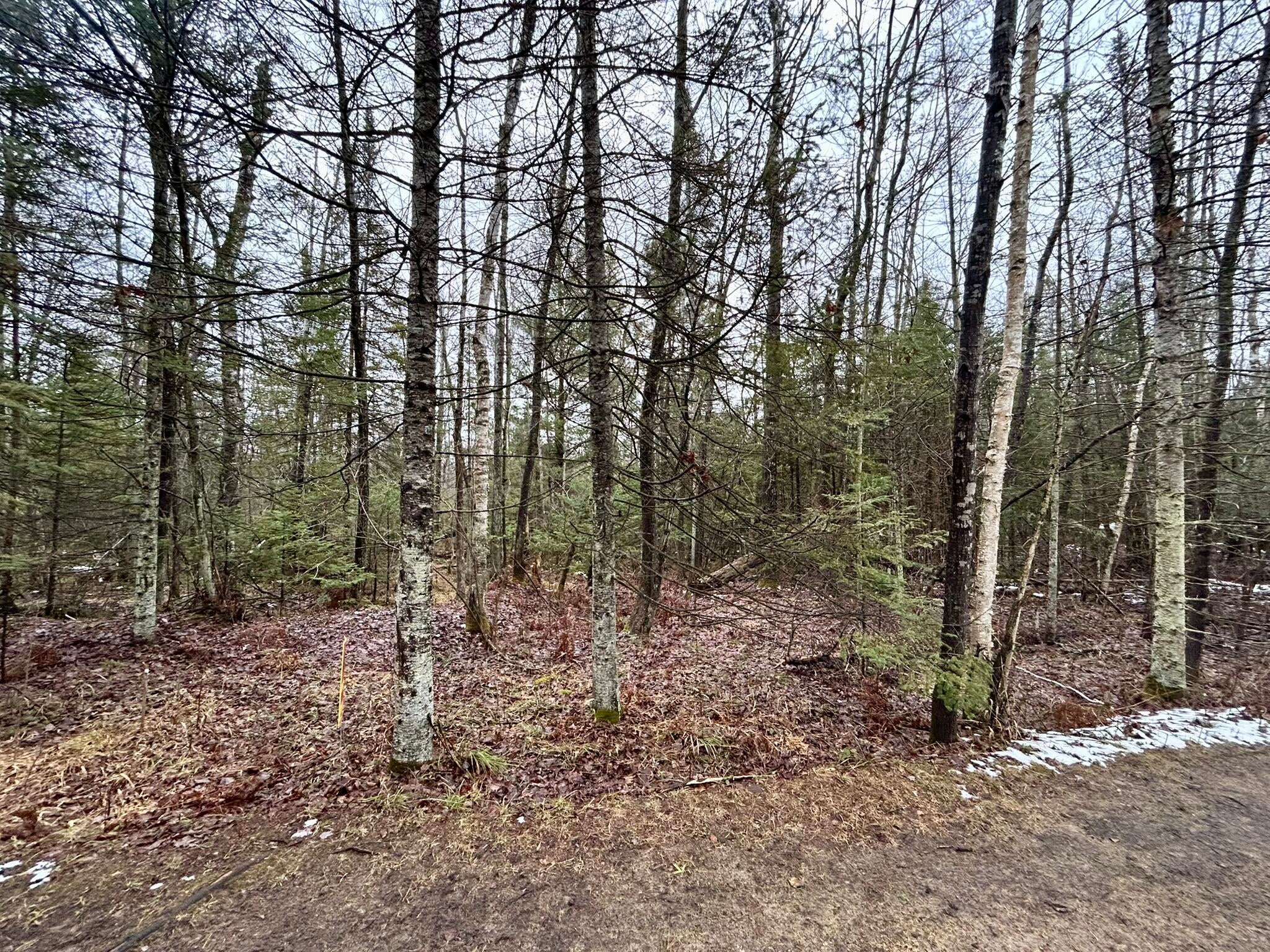 15330 Larry Road Hillman, MI 49746 - Photo 5 of 12 Gallery Image 5