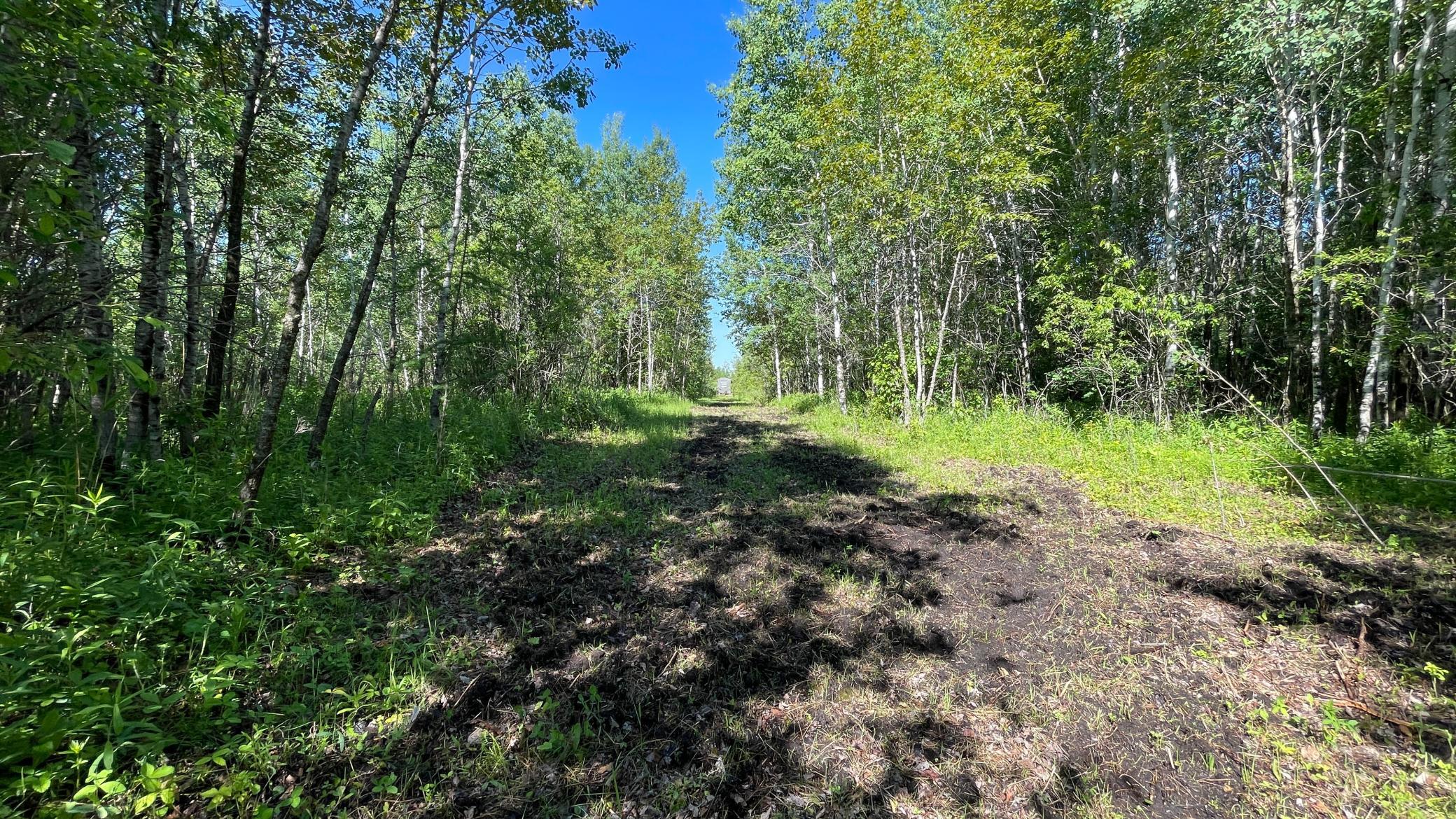 Tbd 440th Avenue Roseau, MN 56751 - Photo 50 of 80