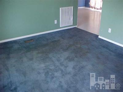 3949 Blueberry Road Currie, NC 28435 - Photo 2 of 11 Additional Photo