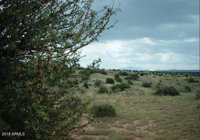 5301 South Lariat Road, Unit 270 Williams, AZ 86046 - Photo 1 of 2 Screen Shot 2018-04-20 at 1.03.28 PM