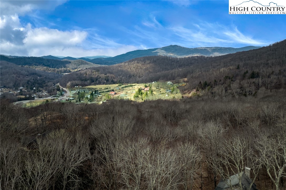 214 Sugar Bear Ridge Lane Banner Elk, NC 28604 - Photo 45 of 46