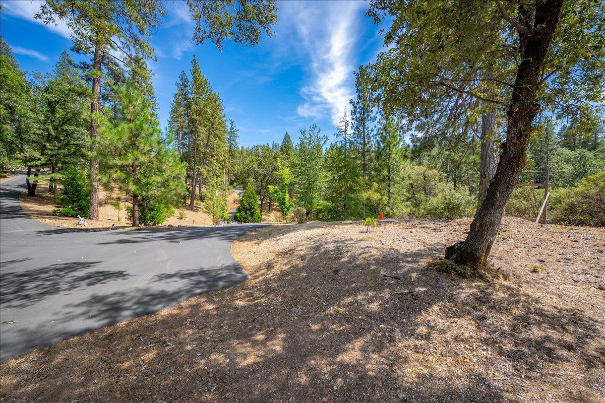 22600 Plumtree Road Colfax, CA 95713 - Photo 6 of 37