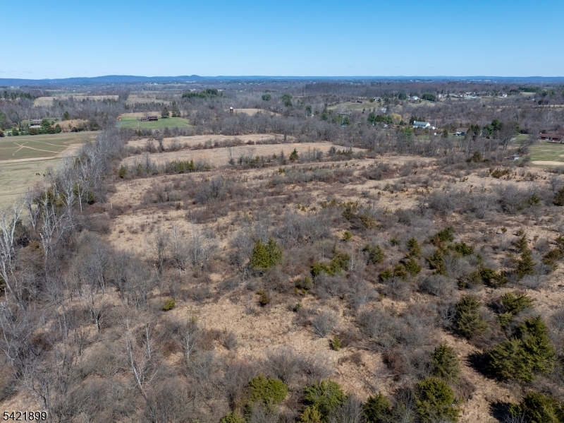 111 Wertsville Road Hillsborough, NJ 08844 - Photo 7 of 13 an aerial view of forest