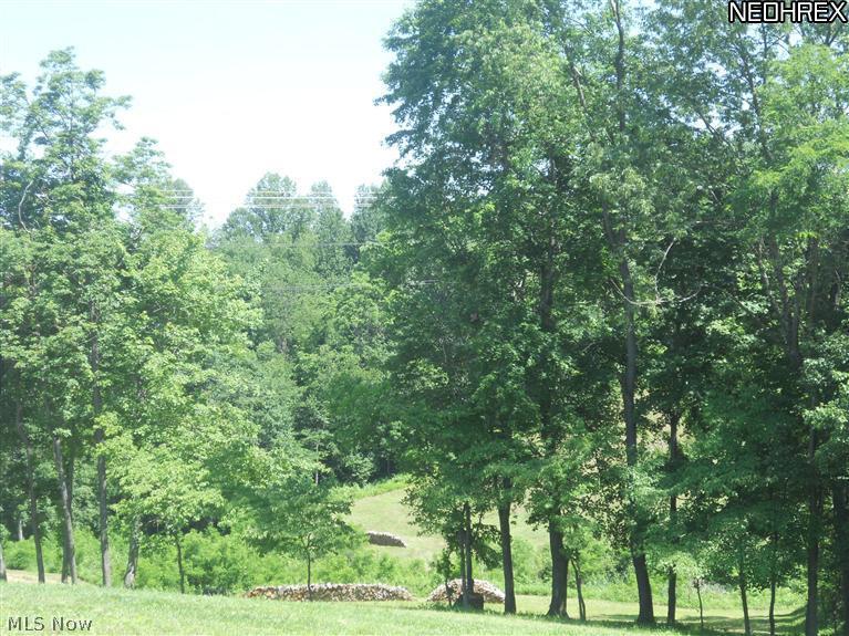 10525 Dutch Hill Road Dresden, OH 43821 - Photo 23 of 25 Gallery Image 23