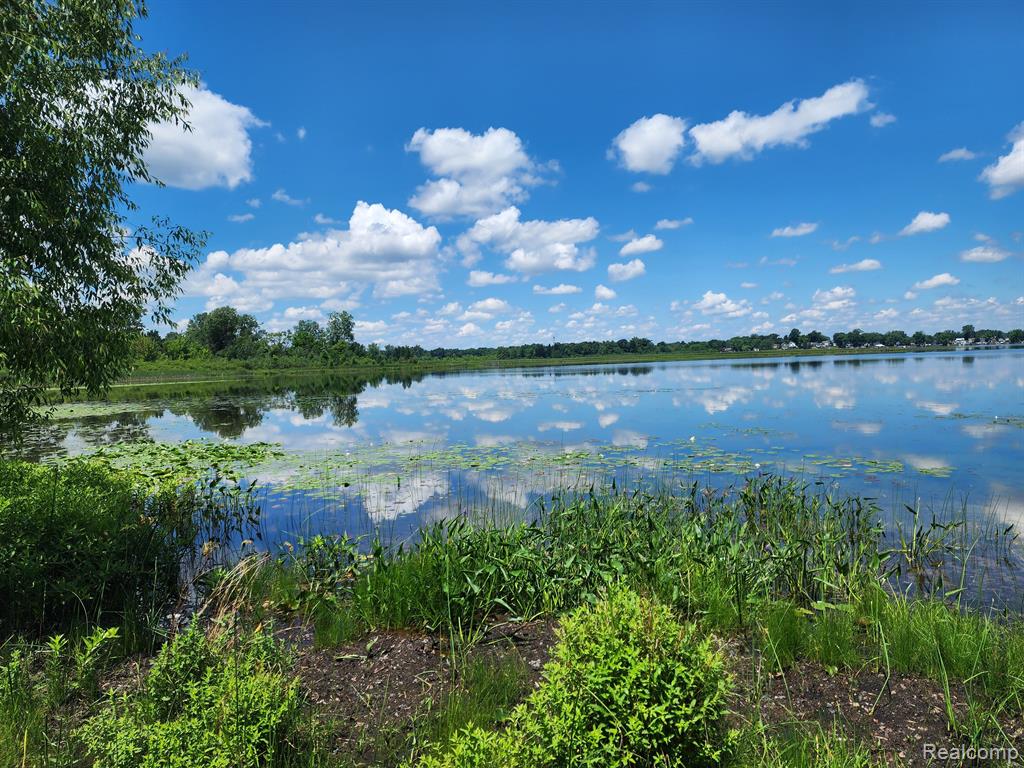 3570 Hart Road Jackson, MI 49201 - Photo 62 of 64 Gallery Image 62