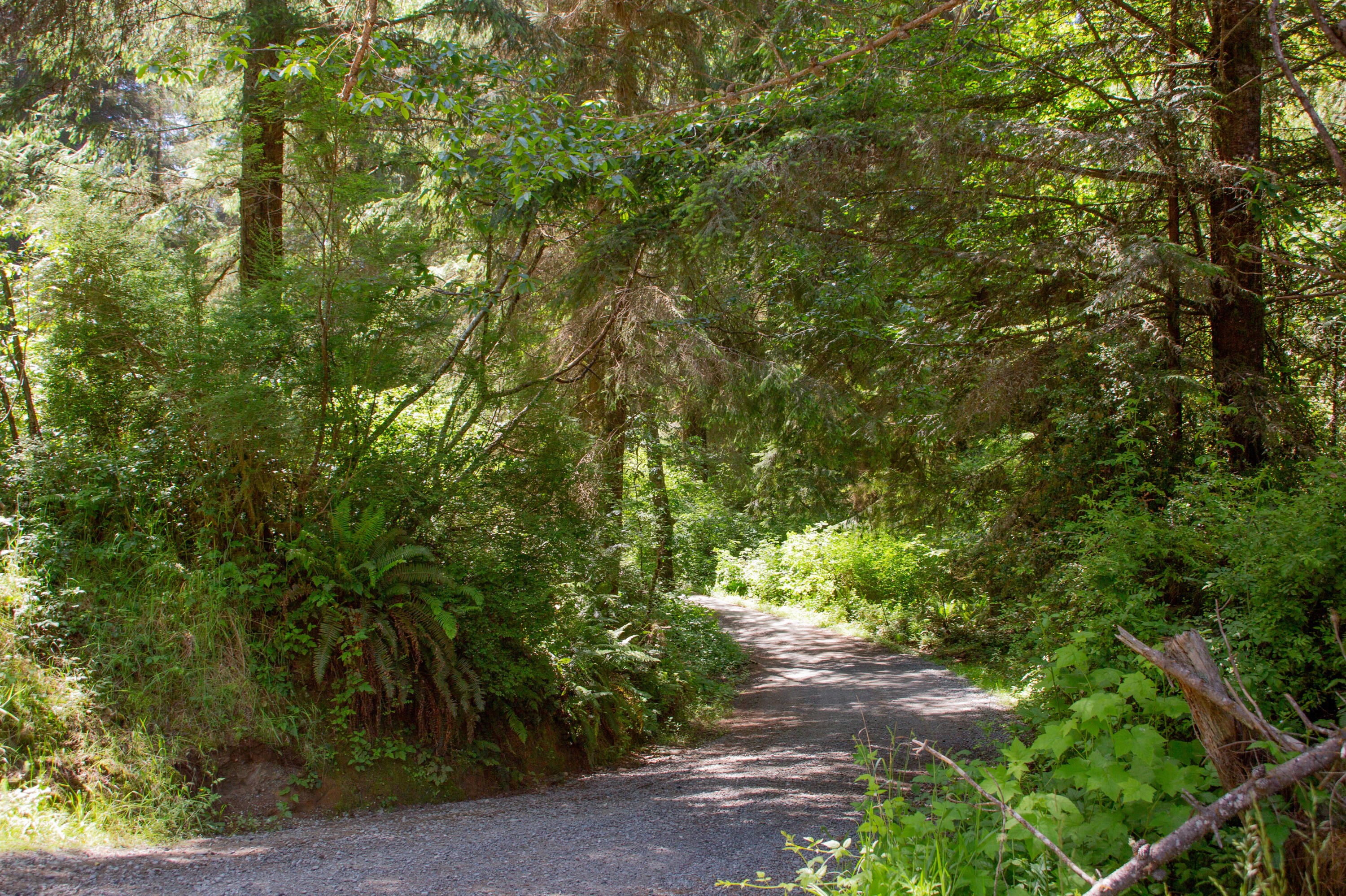 2095 Arthur Road McKinleyville, CA 95519 - Photo 28 of 29
