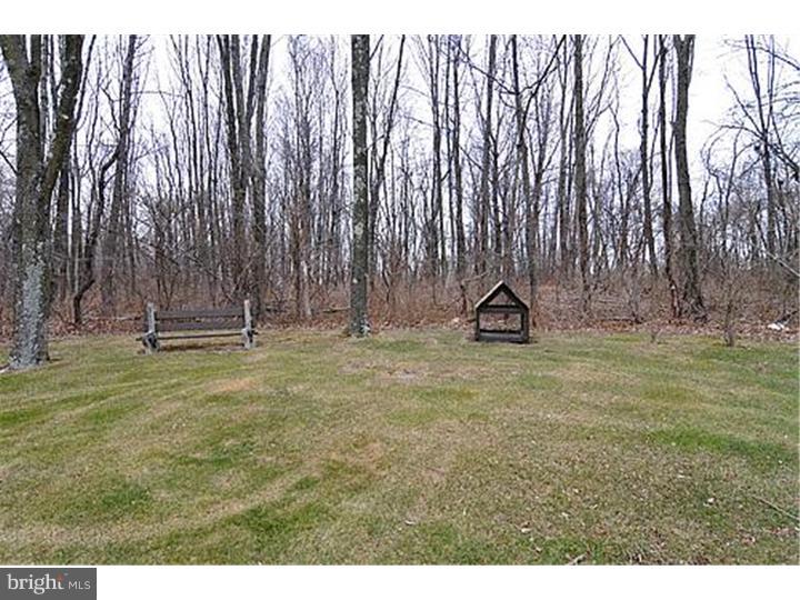 3976 State Road Coopersburg, PA 18036 - Photo 17 of 18 Back Yard
