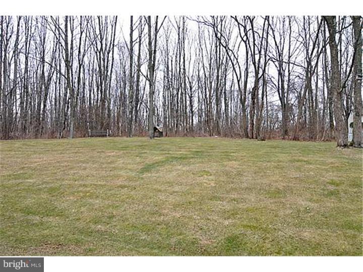 3976 State Road Coopersburg, PA 18036 - Photo 18 of 18 Back Yard