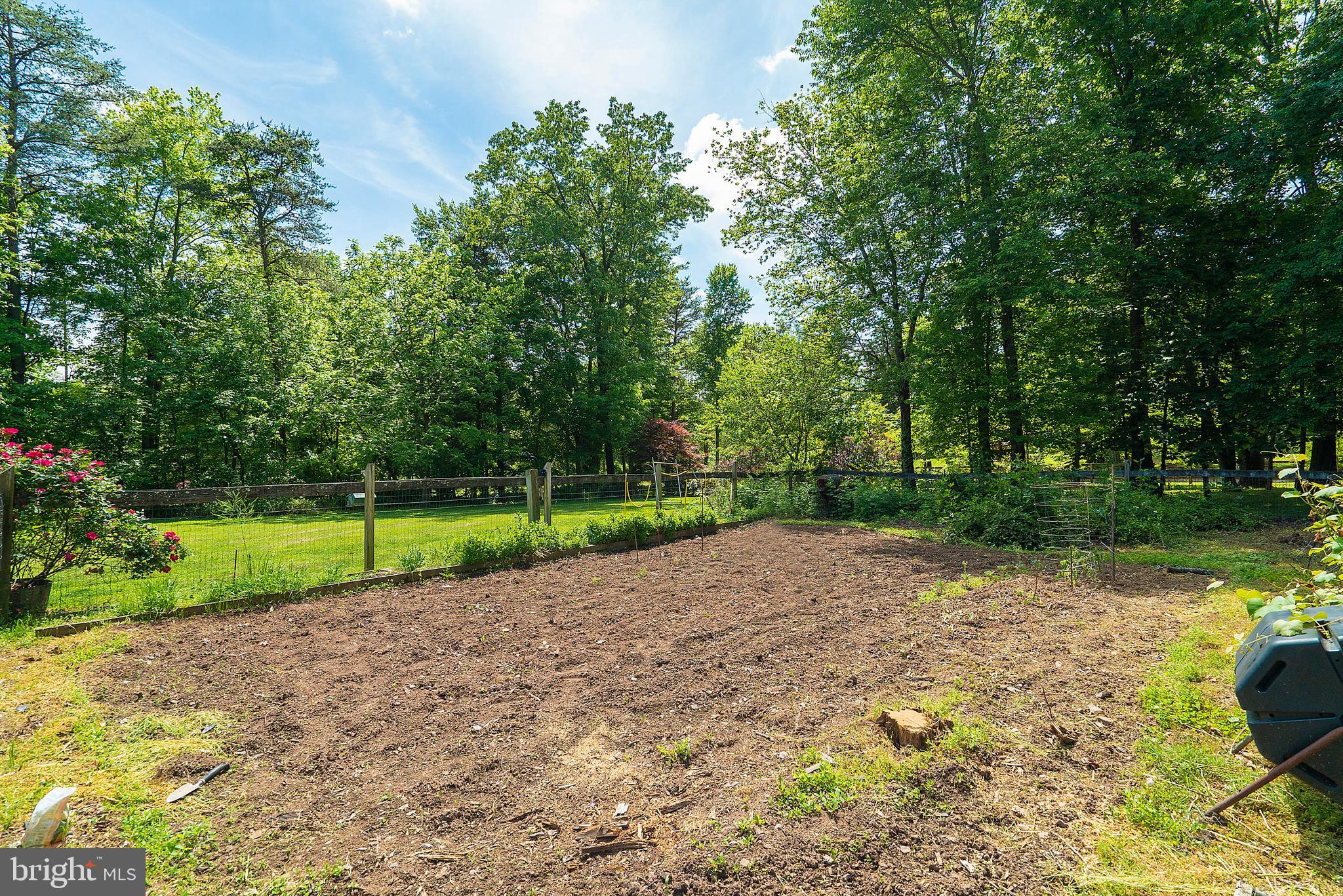 8007 Taylor Road Catlett, VA 20119 - Photo 31 of 36 Garden Area