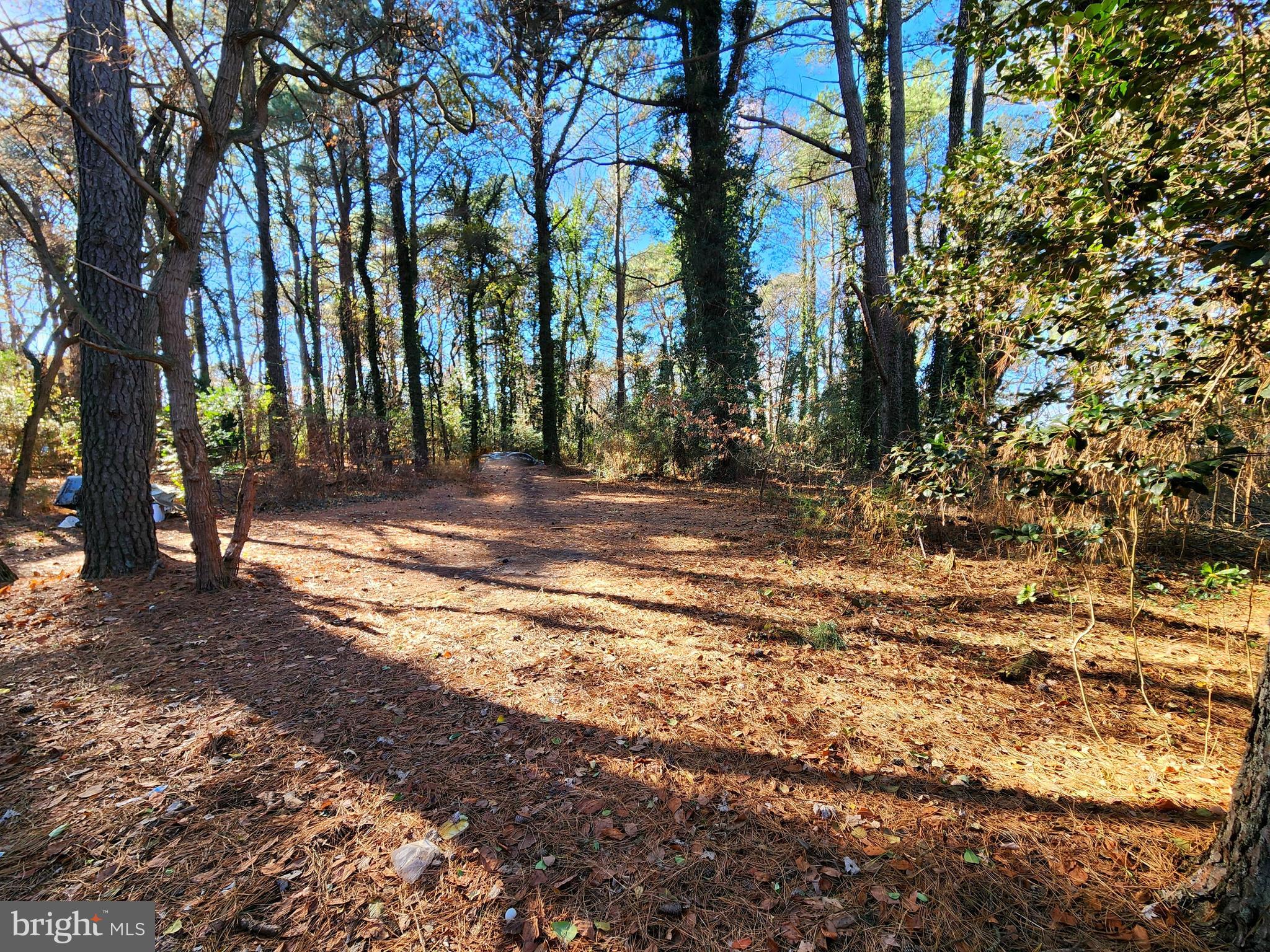 6739 Bailey Store Road Federalsburg, MD 21632 - Photo 36 of 38 Gallery Image 36