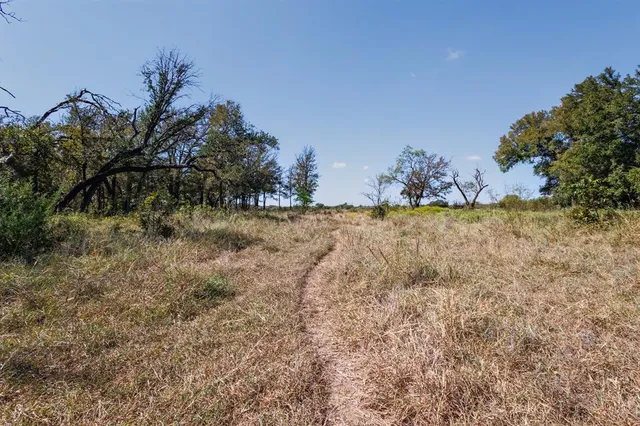 a view of yard with trees
