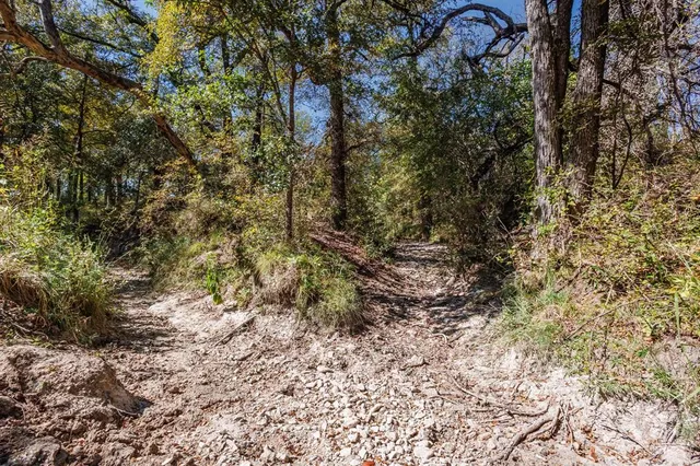 a view of yard with green space