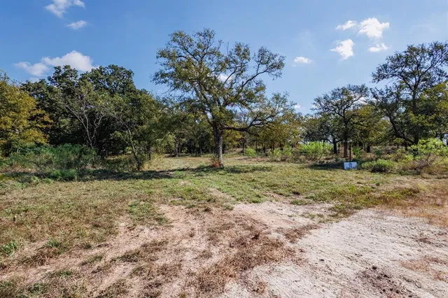 a view of outdoor space with trees