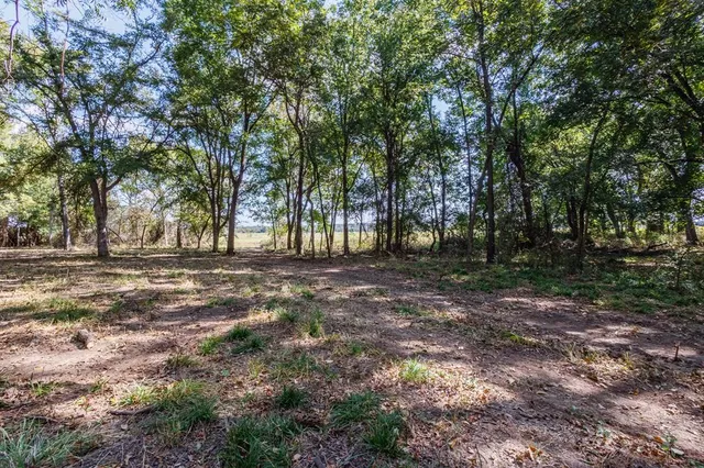 a view of outdoor space with trees